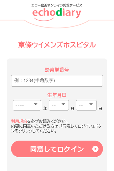 echodiary手順4